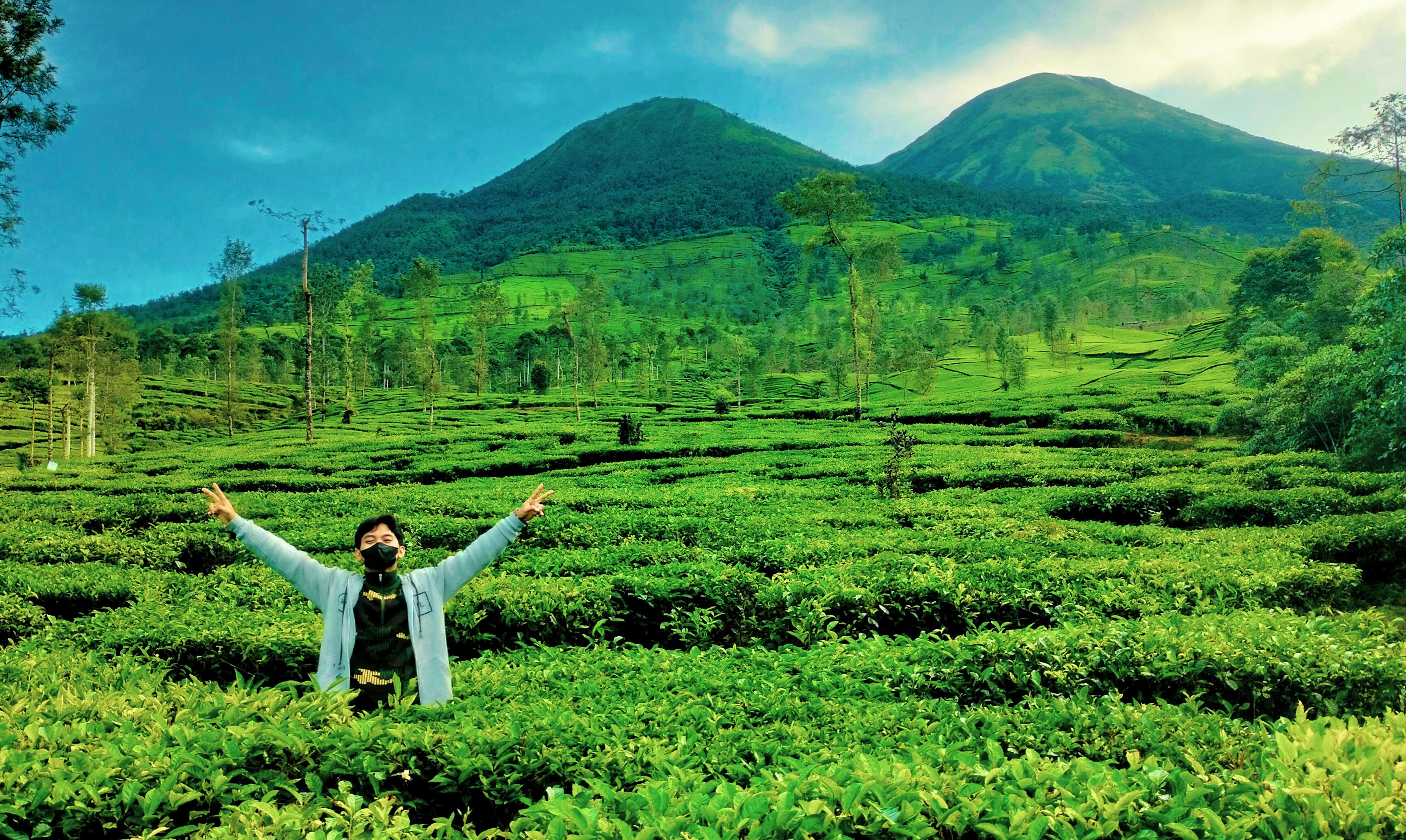 Pesona Gunung Sindoro